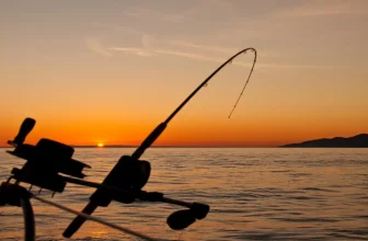 Night Fishing Tips: How to Fish After Dark (Gear, Techniques and Safety)