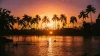 Sunset over Oahu waters with silhouetted palm trees reflected in calm water, ideal yacht charter destination
