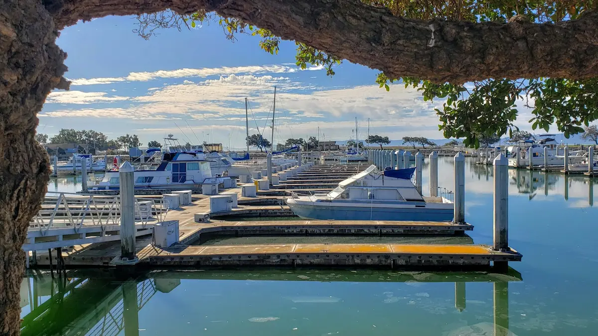 Empty marina berths with docked boats in the distance, symbolizing phantom yacht scams and fraudulent charter bookings.