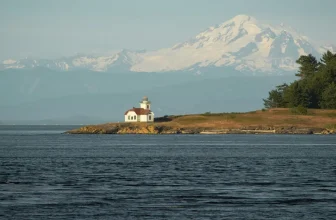 A sailing yacht navigating past pine-covered shores during a San Juan Islands yacht charter in the Pacific Northwest.