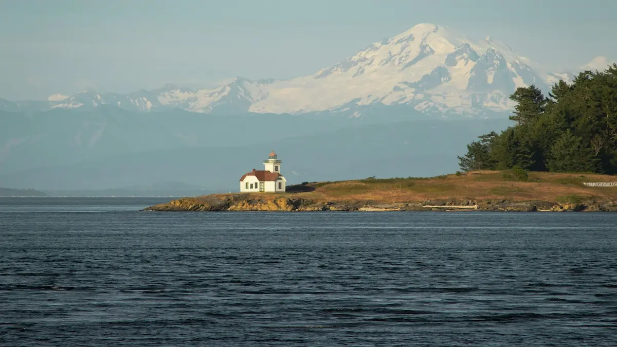 A sailing yacht navigating past pine-covered shores during a San Juan Islands yacht charter in the Pacific Northwest.