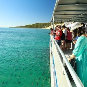 Adventure Moreton Island Wrecks Adventure Package - Photo 2