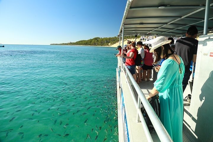 Adventure Moreton Island Wrecks Adventure Package - Photo 2