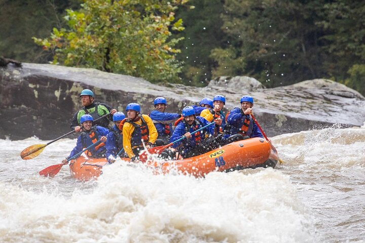 Lower Gauley River Whitewater Rafting Trip - Photo 4