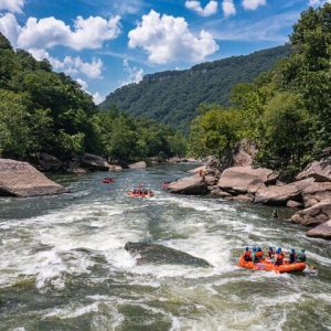 Lower New River Whitewater Rafting Trip - Photo 2