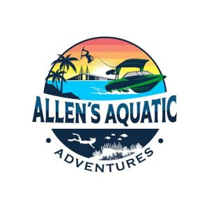 Private boat tours for dolphin watching near treasure island - Photo 2