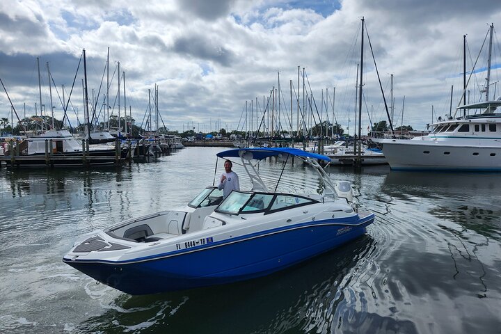 Private boat tours for dolphin watching near treasure island - Photo 3