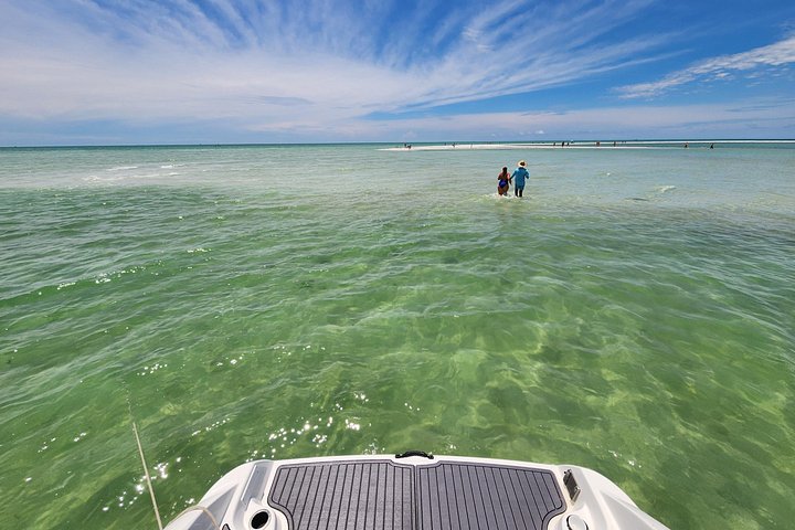Private boat tours for dolphin watching near treasure island - Photo 9