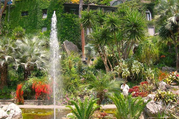 Garden - One Day Naples Forio Walking Hydrofoil Transfer Tour