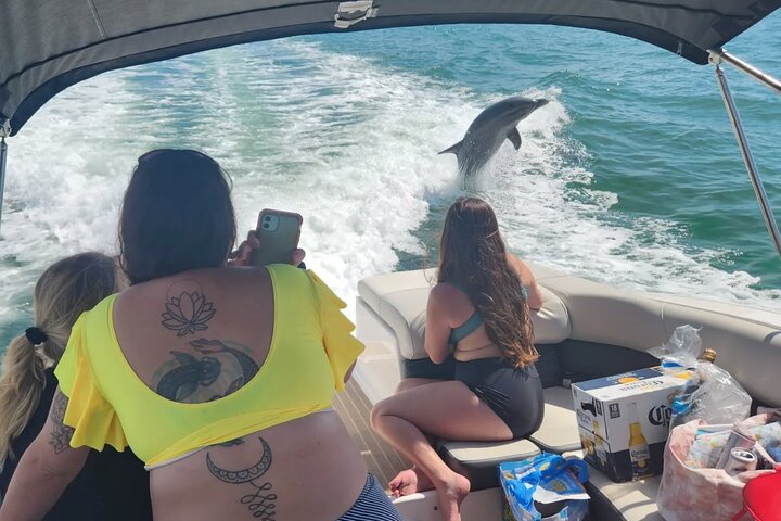 Private Boat: Island Cruise and Dolphins - Photo 4