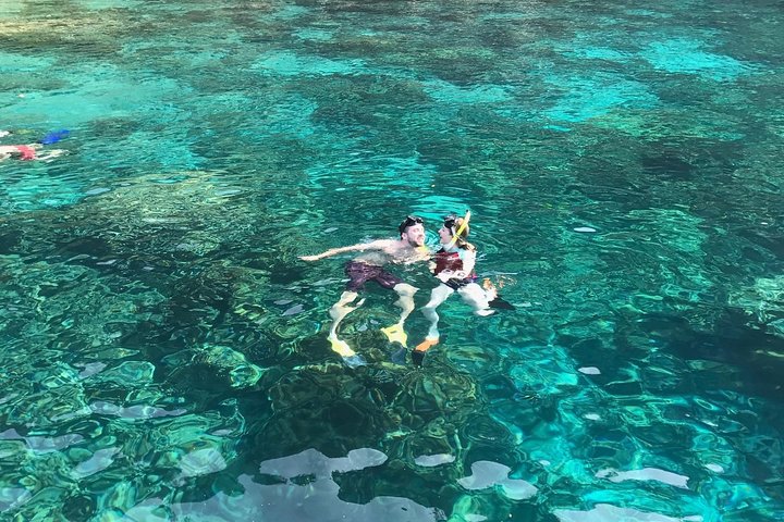 Crystal clear visibility in a protected bay - Kona Snorkeling: Beat the Crowd to Kealakekua Bay