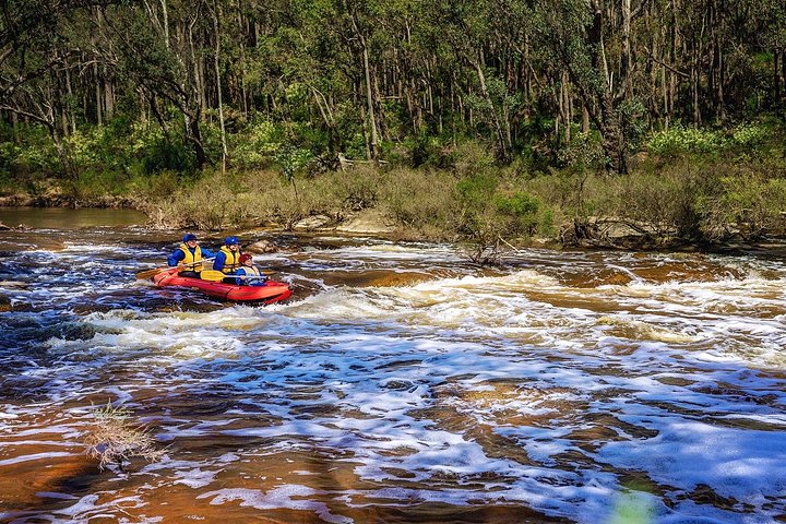 Small rapids are easy to navigate on this self-guided tour. - Dwellingup: Fast Water Rafting self-guided tour