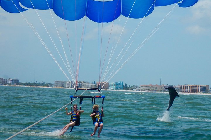 Dolphin watch - Parasail Flights at Madeira Beach