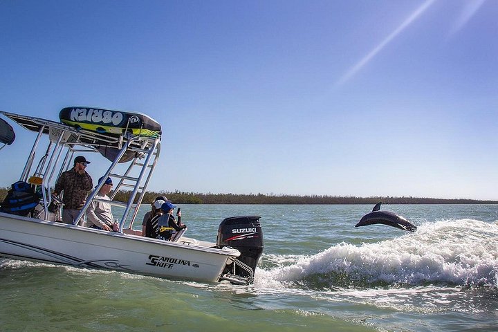 Marco Island Dolphin Watching & Tubing Adventure - Photo 3