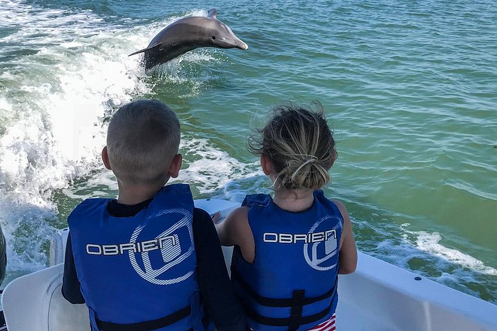 Marco Island Dolphin Watching & Tubing Adventure - Photo 4