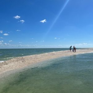 Marco Island Private Tubing, Dolphin Watching and Shelling Tour - Photo 2