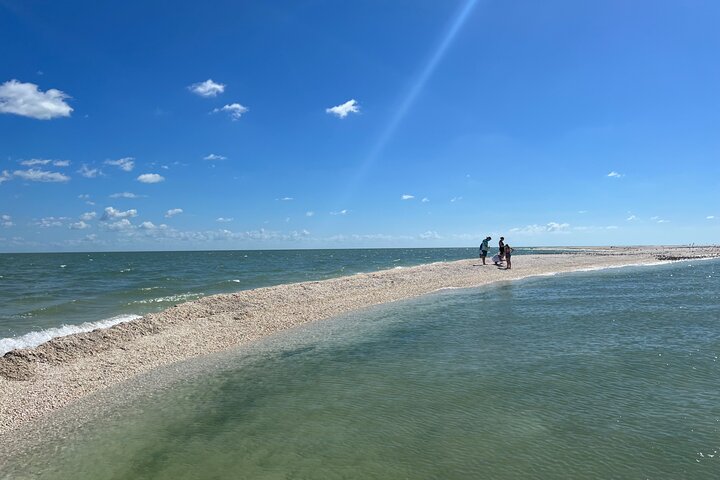 Marco Island Private Tubing, Dolphin Watching and Shelling Tour - Photo 2