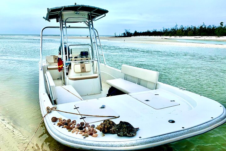 Marco Island Private Tubing, Dolphin Watching and Shelling Tour - Photo 4