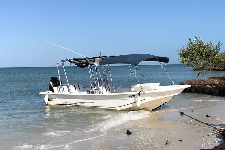 Marco Island Private Tubing, Dolphin Watching and Shelling Tour - Photo 5