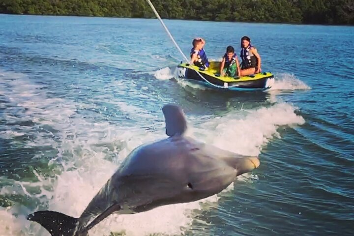 Marco Island Private Tubing, Dolphin Watching and Shelling Tour - Photo 1