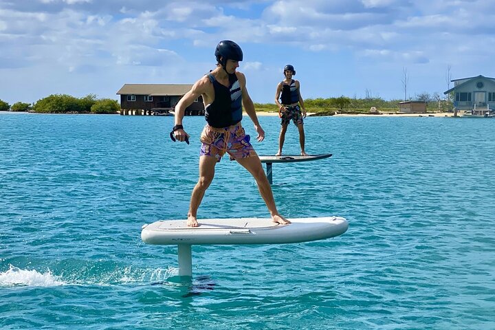 Premium eFoil Lesson near Waikiki - Photo 8