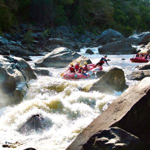 Barron River Rafting: Cairns, Port Douglas or Self-Drive - Photo 2