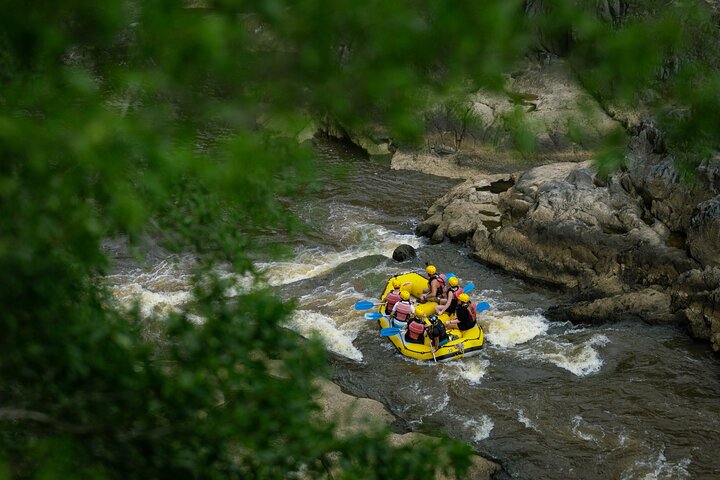 Barron River Rafting: Cairns, Port Douglas or Self-Drive - Photo 6