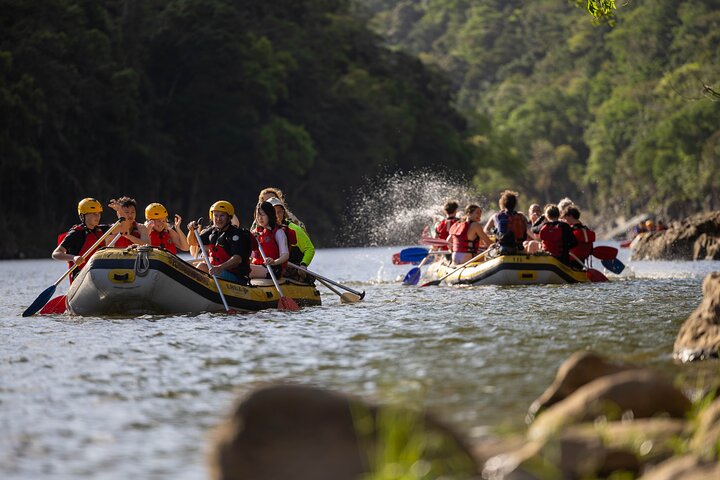 Barron River Rafting: Cairns, Port Douglas or Self-Drive - Photo 8