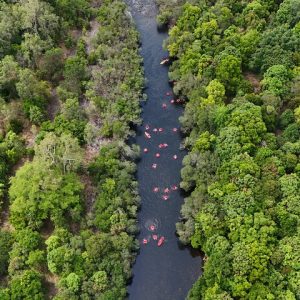 Cairns Rainforest River Tubing - Photo 1