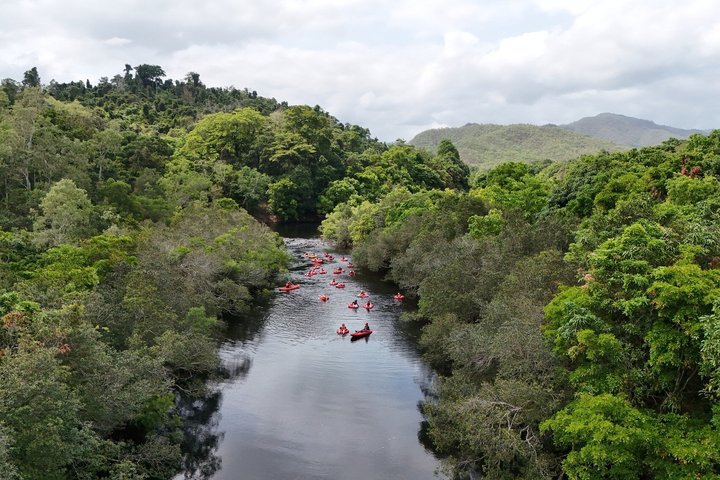 Rainforest River Tubing and Cairns Jetboating for 1 Day 2 Tours - Photo 3