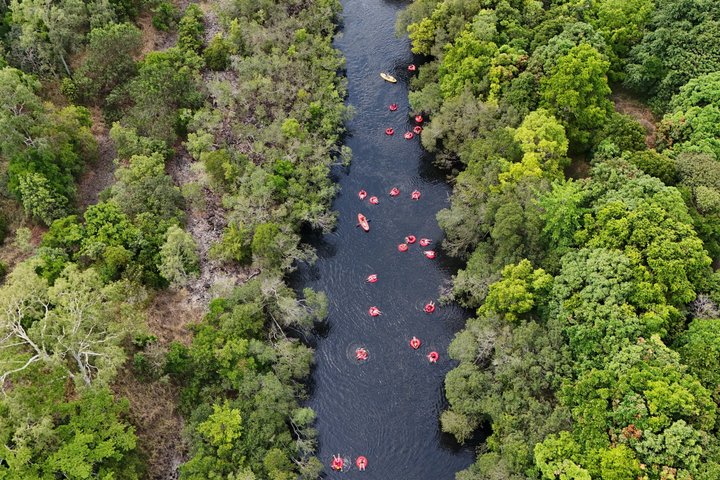Rainforest River Tubing and Cairns Jetboating for 1 Day 2 Tours - Photo 6