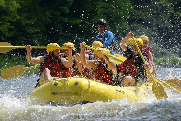 Rouge River Classic Whitewater Rafting Package - Photo 1