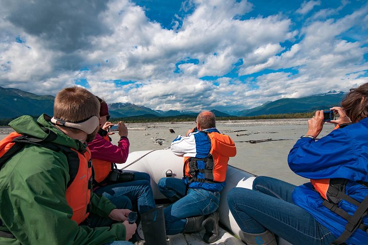 Eagle catching a salmon - Private Group Eagle Preserve Float Trip in Haines