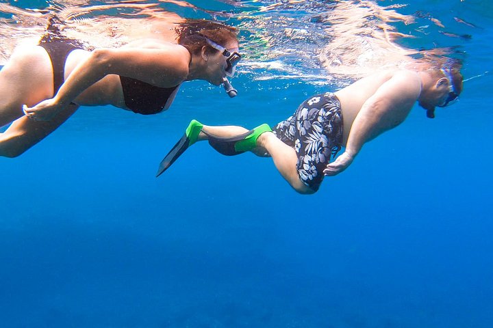 If it is your first time snorkeling, no problem! We provide snorkel instruction and have 3 certified lifeguards onboard at all times! - Lanai Eco-Raft Snorkel & Dolphin Watch Small Group Tour from Maui