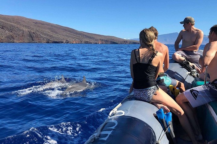 Eye-level dolphin encounters on Maui's eco-rafts. - Lanai Eco-Raft Snorkel & Dolphin Watch Small Group Tour from Maui