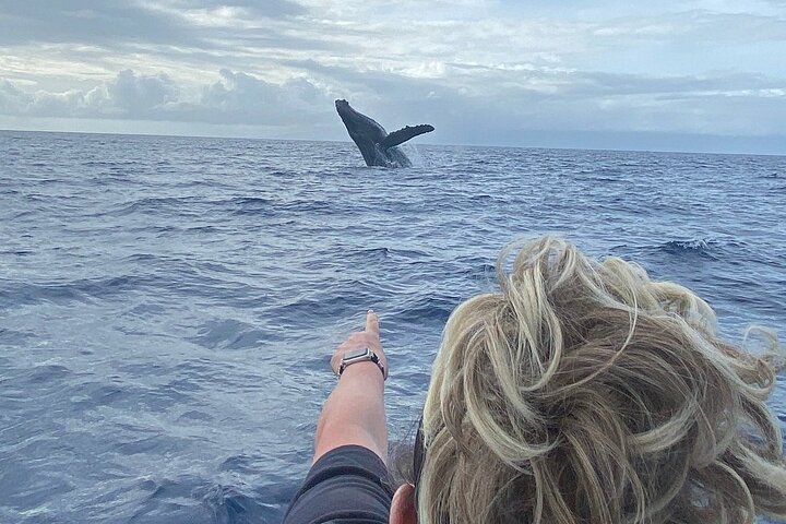 Epic breach photo captured by our guest! - Maui Eco-Raft Tour: Eye-Level Whale or Dolphin Watching - Lahaina