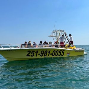 Parasailing in Orange Beach Alabama - Photo 1