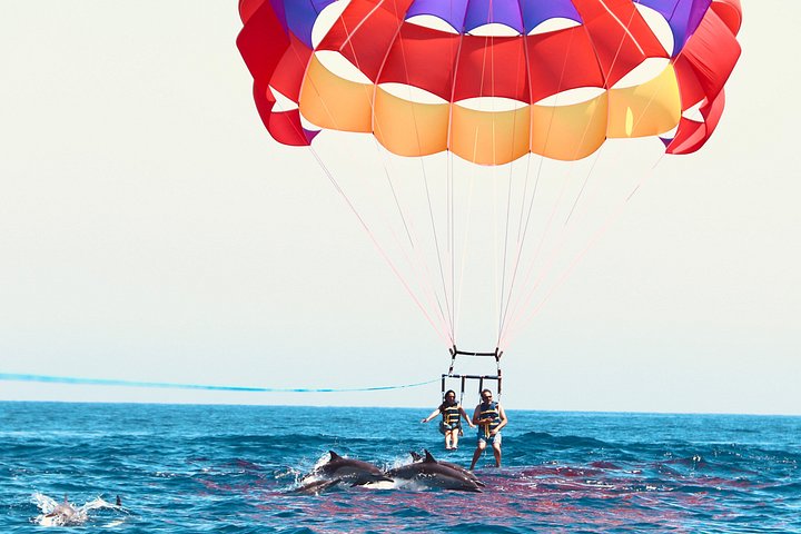 Catalina Island Parasailing Adventure - Photo 2