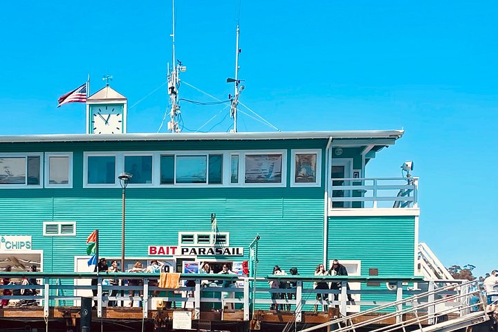 Catalina Island Parasailing Adventure - Photo 6