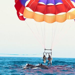 Catalina Island Parasailing First Trip of the Day - Photo 2