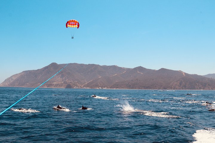 Catalina Island Parasailing First Trip of the Day - Photo 9