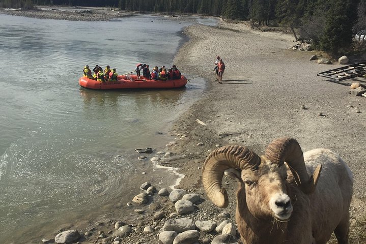 Just another Day at our Landing - Athabasca River Easy Scenic Raft Trip
