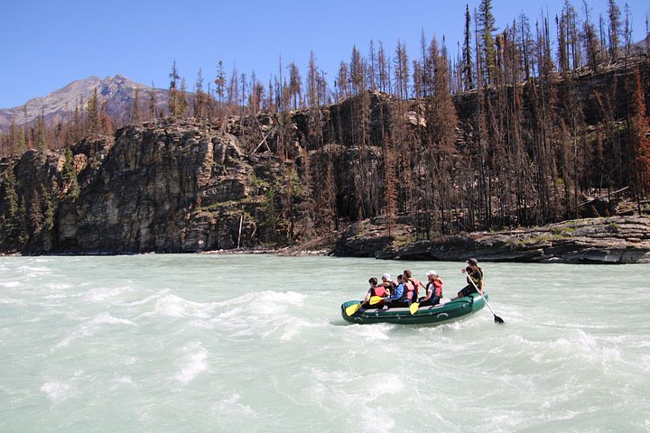 Athabasca Falls Run - Photo 5