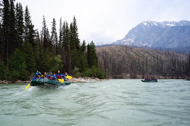 Athabasca Falls Run - Photo 10