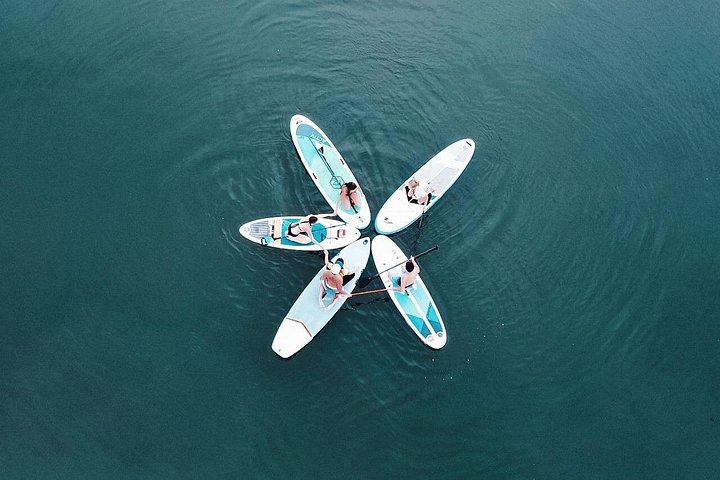 Stand Up Paddle Center in Rhein River - Photo 2