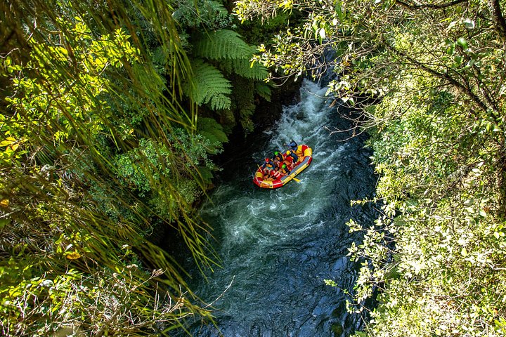 Epic jungle scenery in a deep a beautiful canyon - White Water Rafting - Kaituna Cascades, The Originals