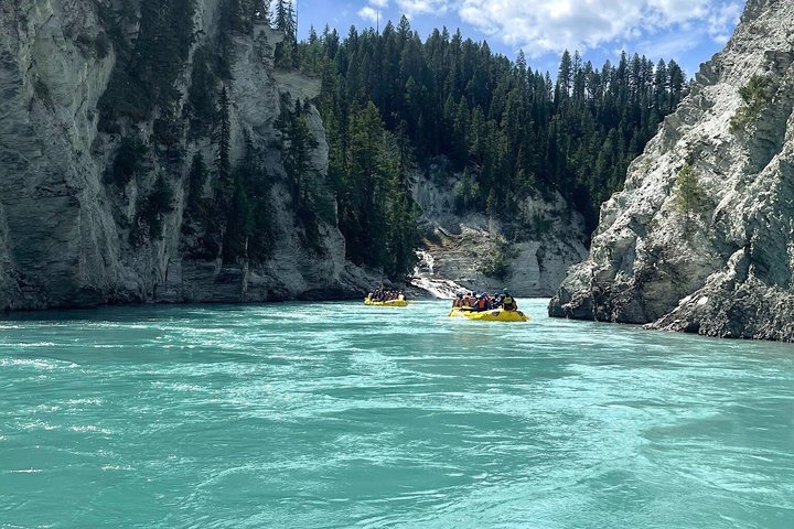 Whitewater Rafting on Kootenay River - Half Day - Photo 8