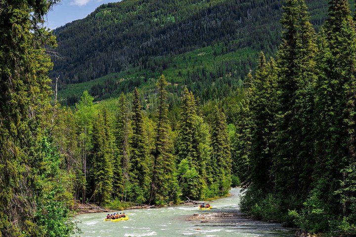 Whitewater Rafting on Toby Creek - Photo 4