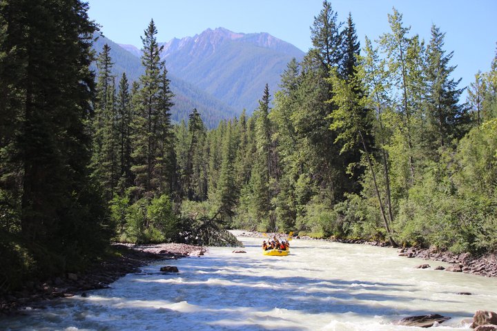 Whitewater Rafting on Toby Creek - Photo 8