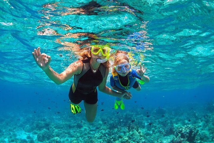Lanai Snorkel Safari Experience from Maui - Photo 5